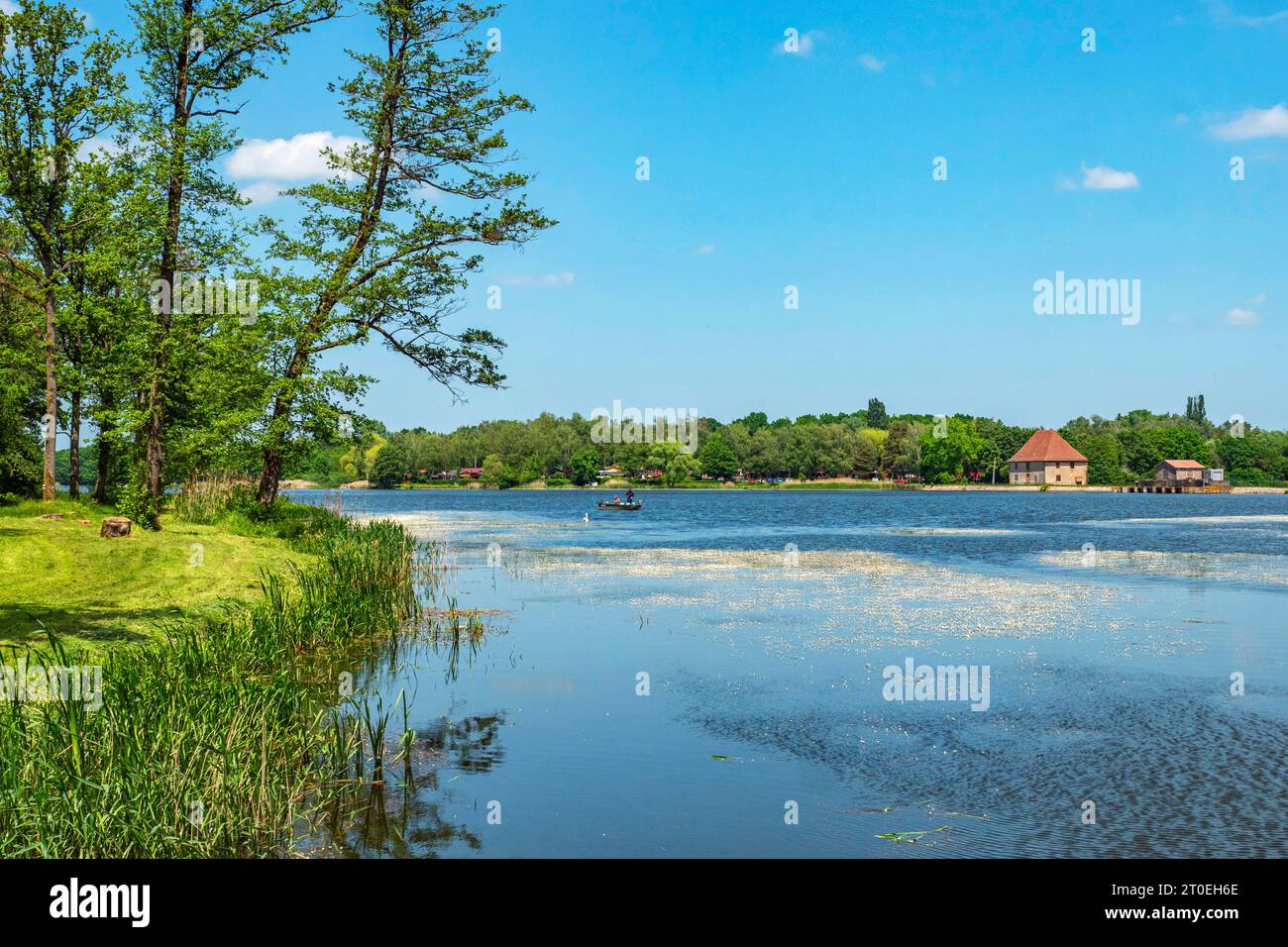 Etang du Stock (stagno) vicino a Diane-Capelle, regione del Grand Est, dipartimento della Mosella, vicino a Sarrebourg, Grand Est, Francia Foto Stock