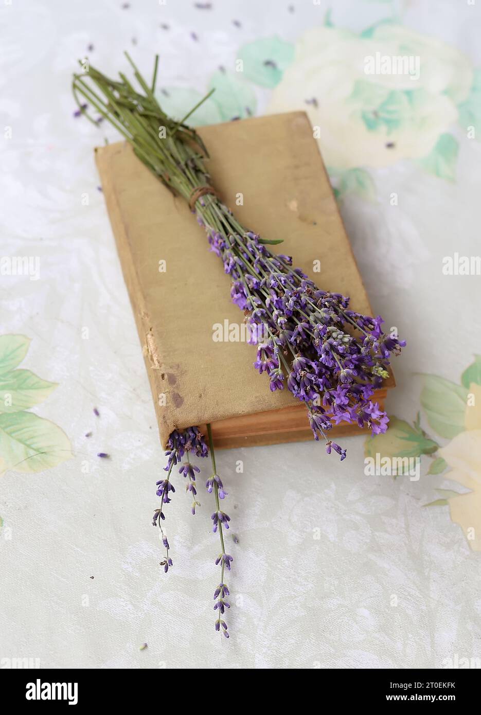 Un libro e un fiore di lavanda in giardino. Messa a fuoco selettiva. Foto Stock