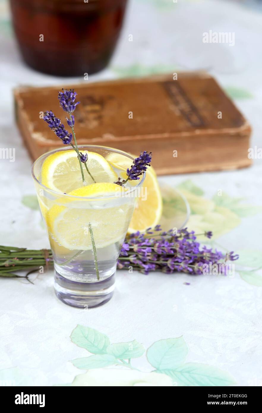 Limonata fatta in casa con limone e lavanda in un bicchiere di vetro su un tavolo in giardino con una niga e un bouquet di lavanda. deto rilassante con tonico di raffreddamento Foto Stock