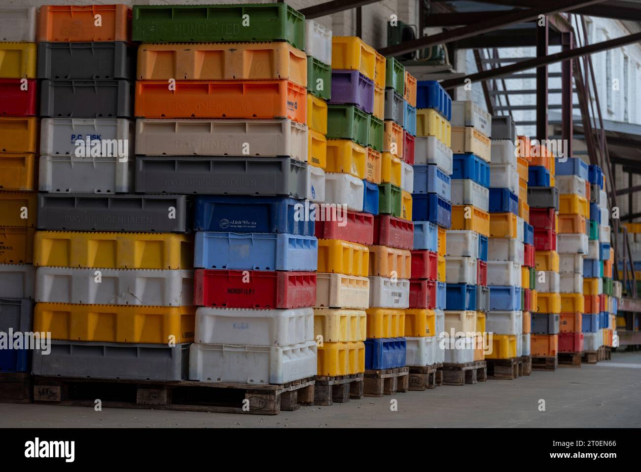 Scatole colorate per pesci, scatole di pesce, porto di Sassnitz, Meclemburgo-Pomerania occidentale, Germania Foto Stock