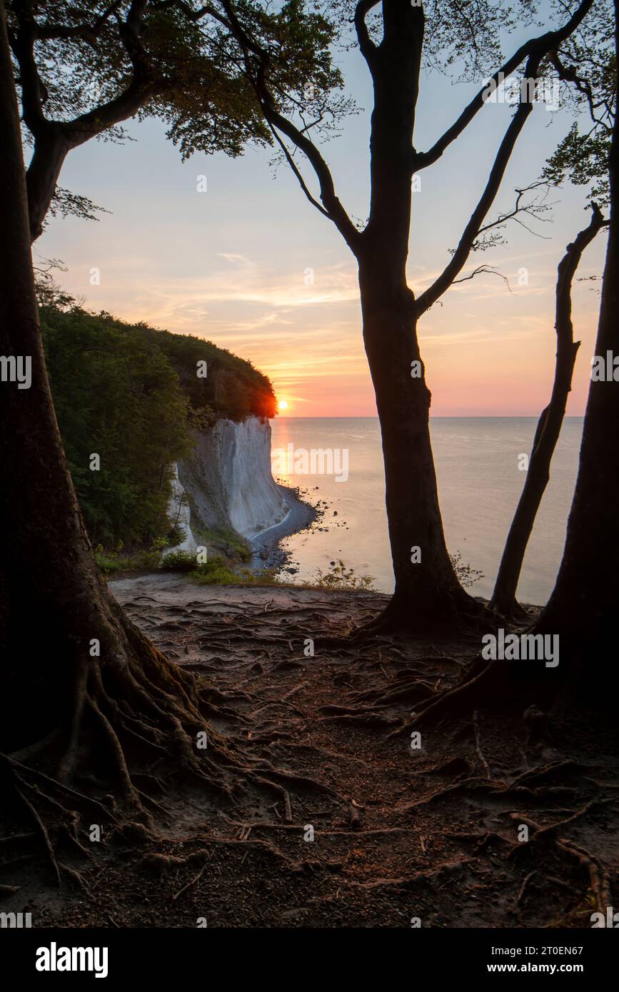 Wissower Klinken, scogliere di gesso, alba, isola di Rügen, Sassnitz, Meclemburgo-Vorpommern, Germania Foto Stock