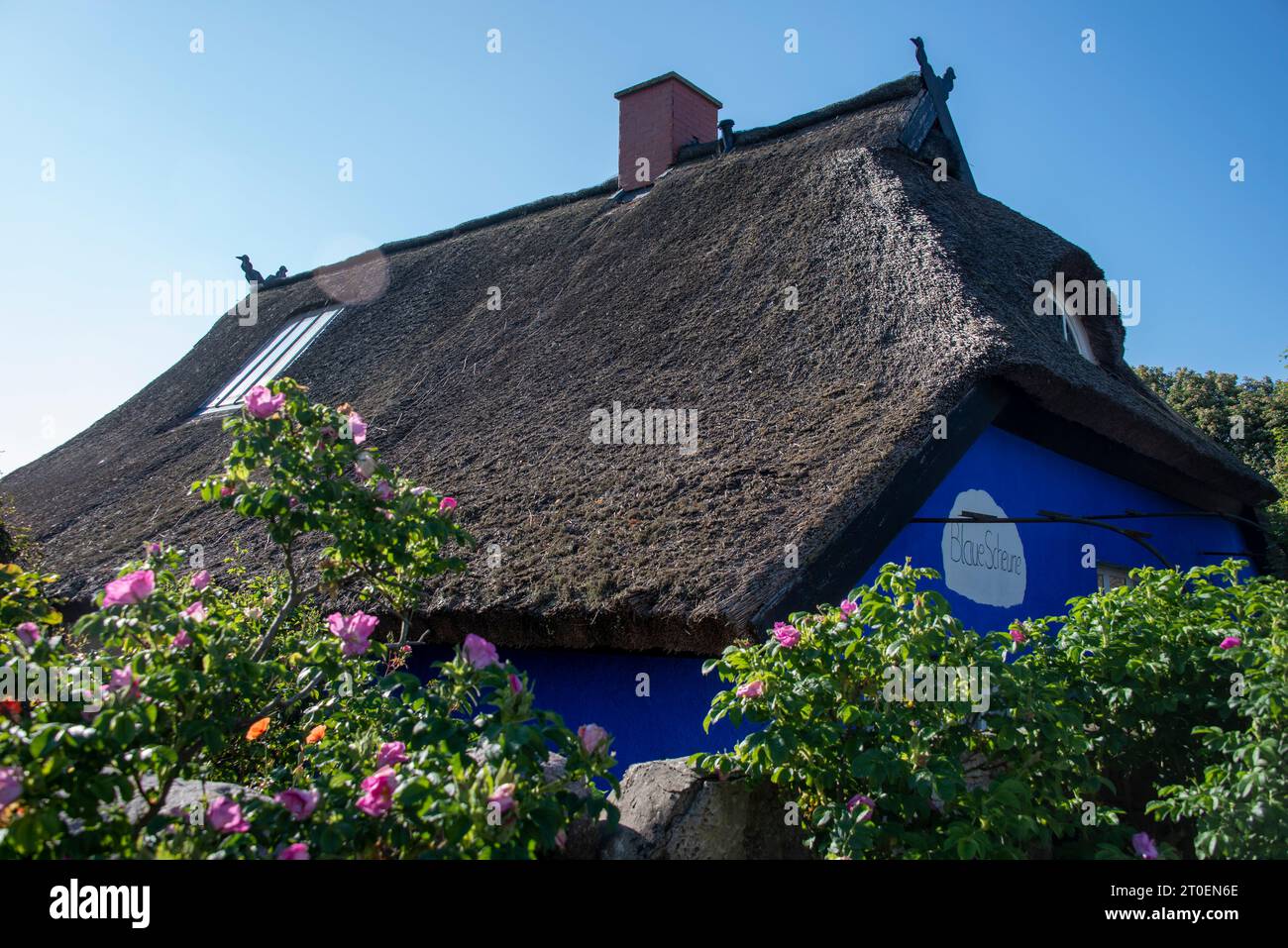 Fienile blu, casa con tetto in paglia, Vitte, Meclemburgo-Pomerania occidentale, Germania Foto Stock