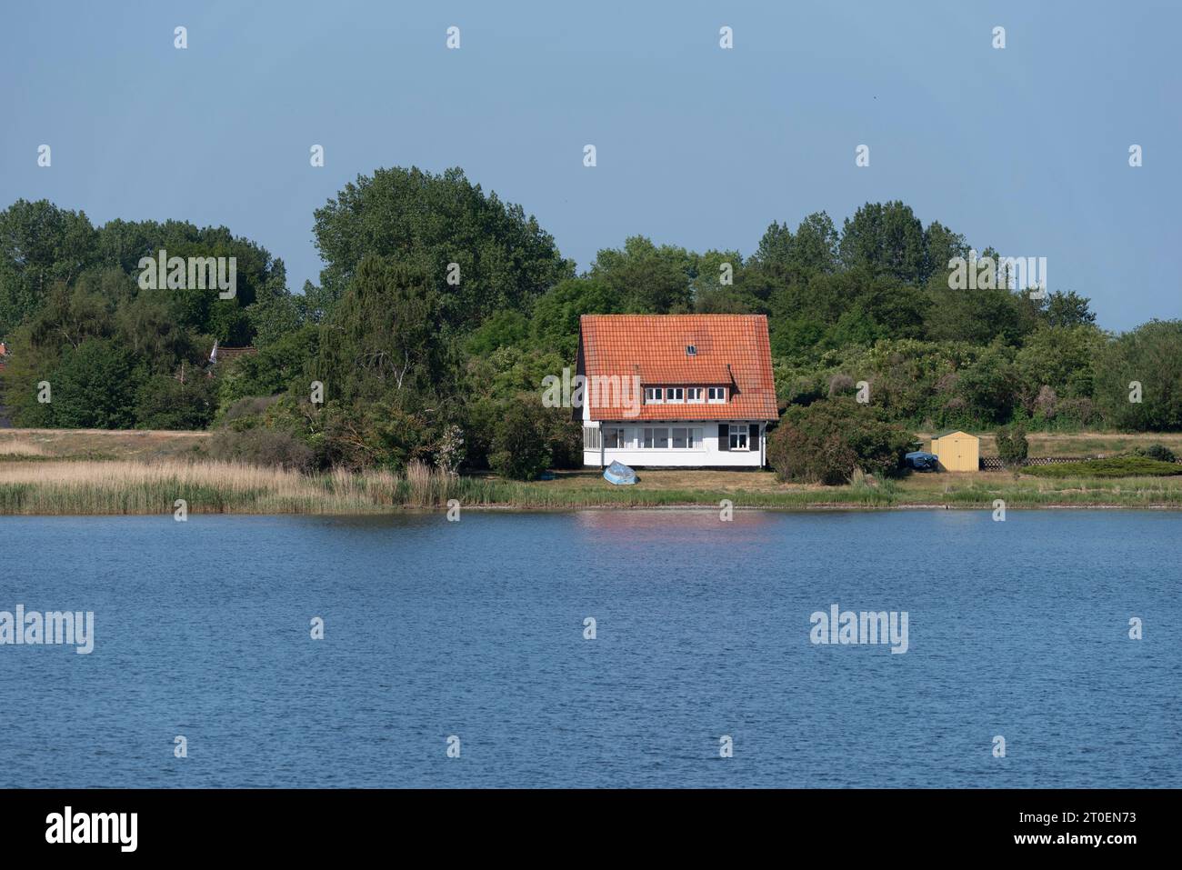 Casa singola sulla riva di Bodden, isola di Hiddensee, Neuendorf, Meclemburgo-Pomerania occidentale, Germania Foto Stock
