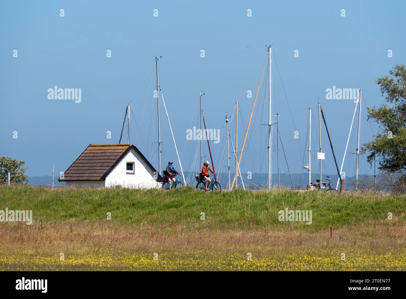 Porto di Vitte, isola Hiddensee, Meclemburgo-Pomerania occidentale, Germania Foto Stock
