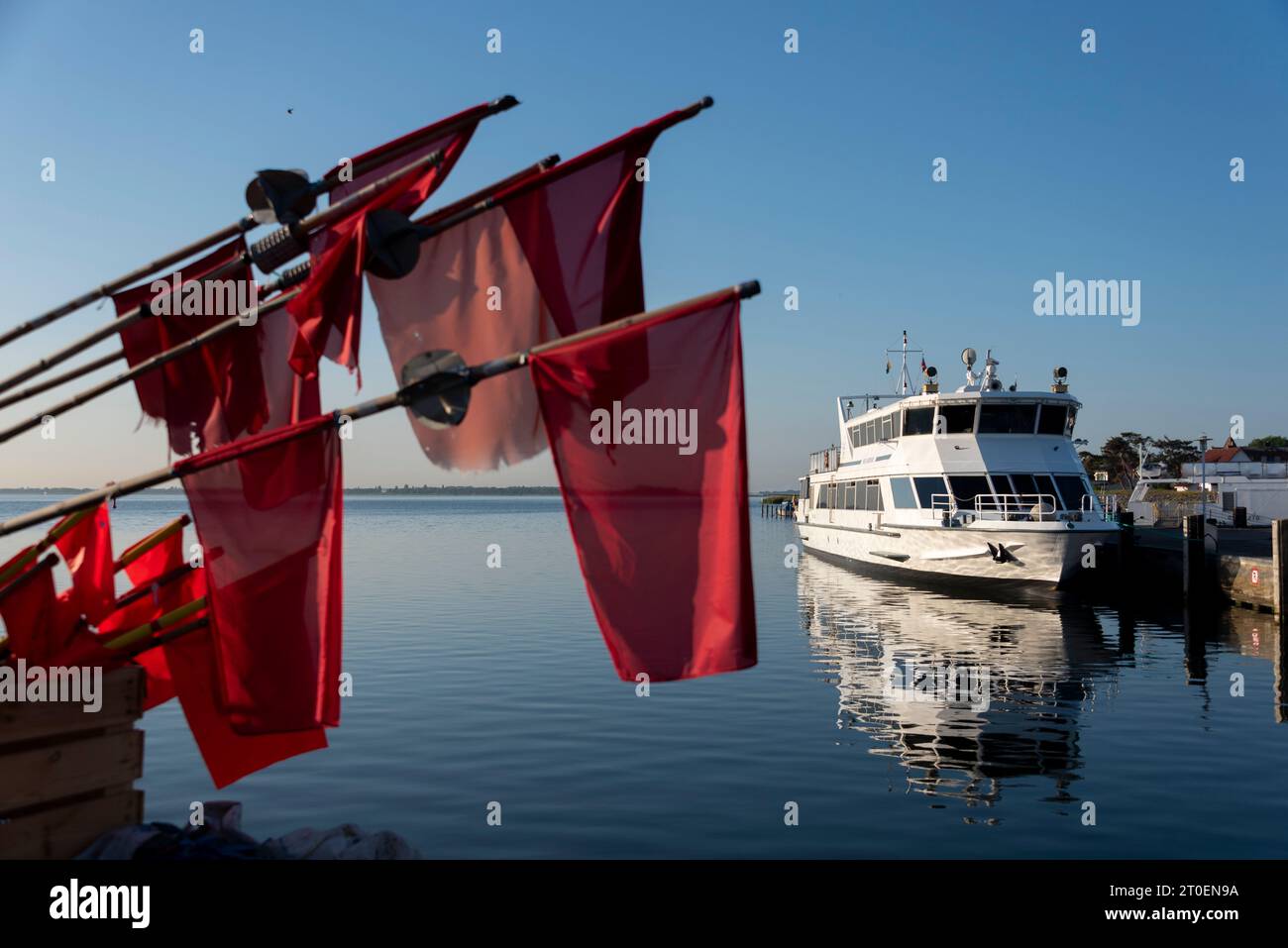 Bandiere a gabbia rossa, dietro di loro traghetti Hiddensee, porto di Vitte, isola Hiddensee, Meclemburgo-Pomerania occidentale, Germania Foto Stock