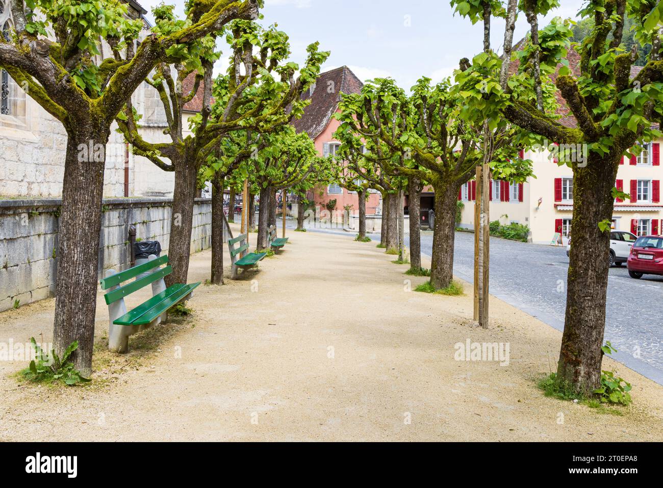 St-Ursanne, Svizzera - 15 maggio 2023: Vista panoramica con alberi a pianta nel centro del pittoresco villaggio di Saint-Ursanne, nel cantone Jura destrict Porrentruy in Svizzera Foto Stock