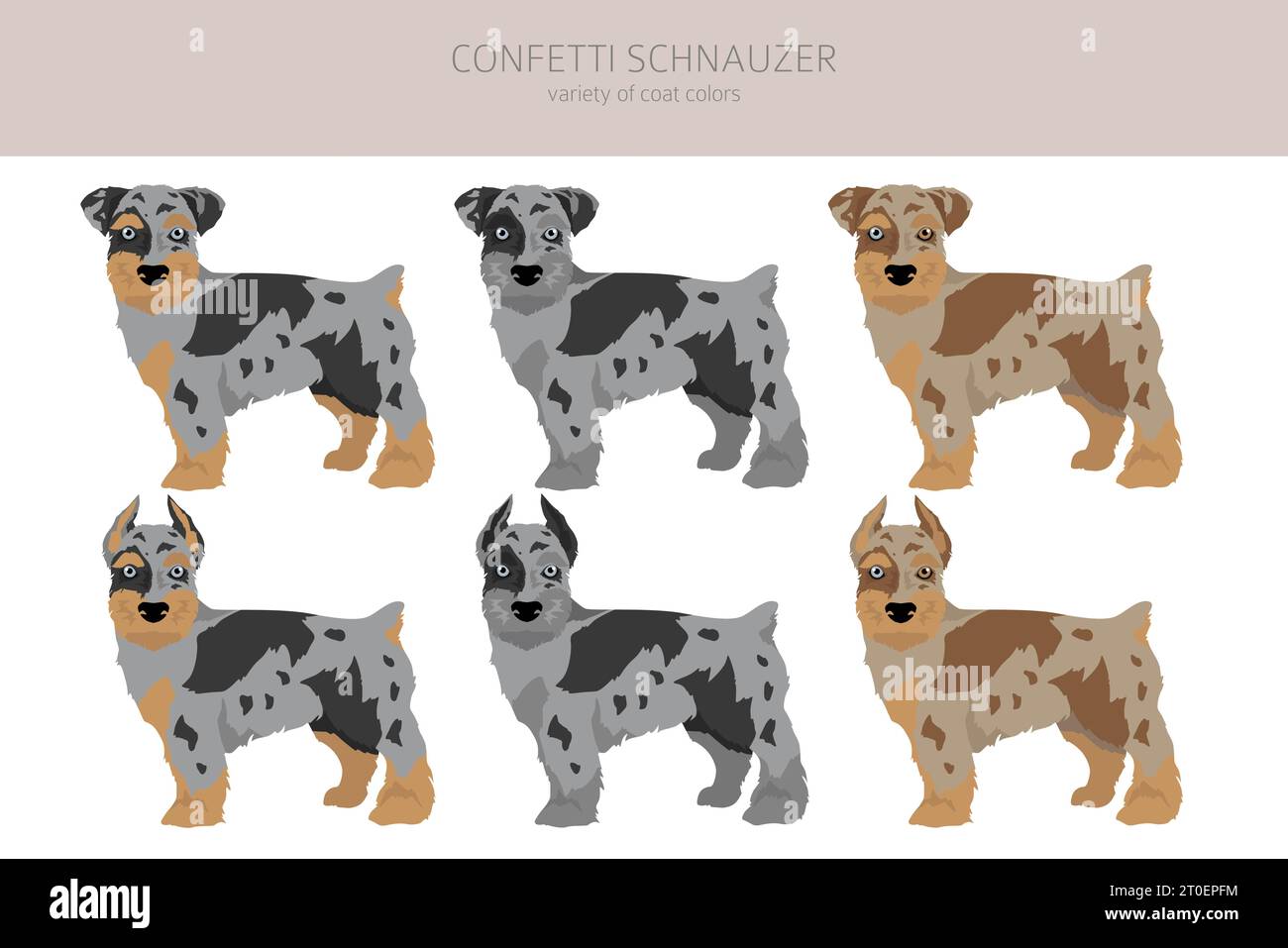 Coperta Morbidissima Con Australian Shepherd E Rose – 101x127 Cm, Perfetta Per Divano, Viaggi E Per Il Tuo Amico Peloso