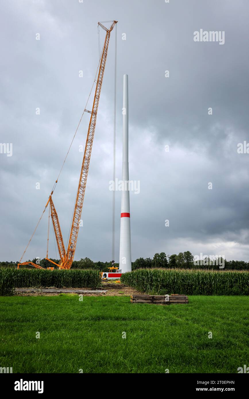 Dorsten, Renania settentrionale-Vestfalia, Germania - costruzione di una turbina eolica, la prima turbina eolica del parco eolico grosse Heide. Un grande cran mobile Foto Stock