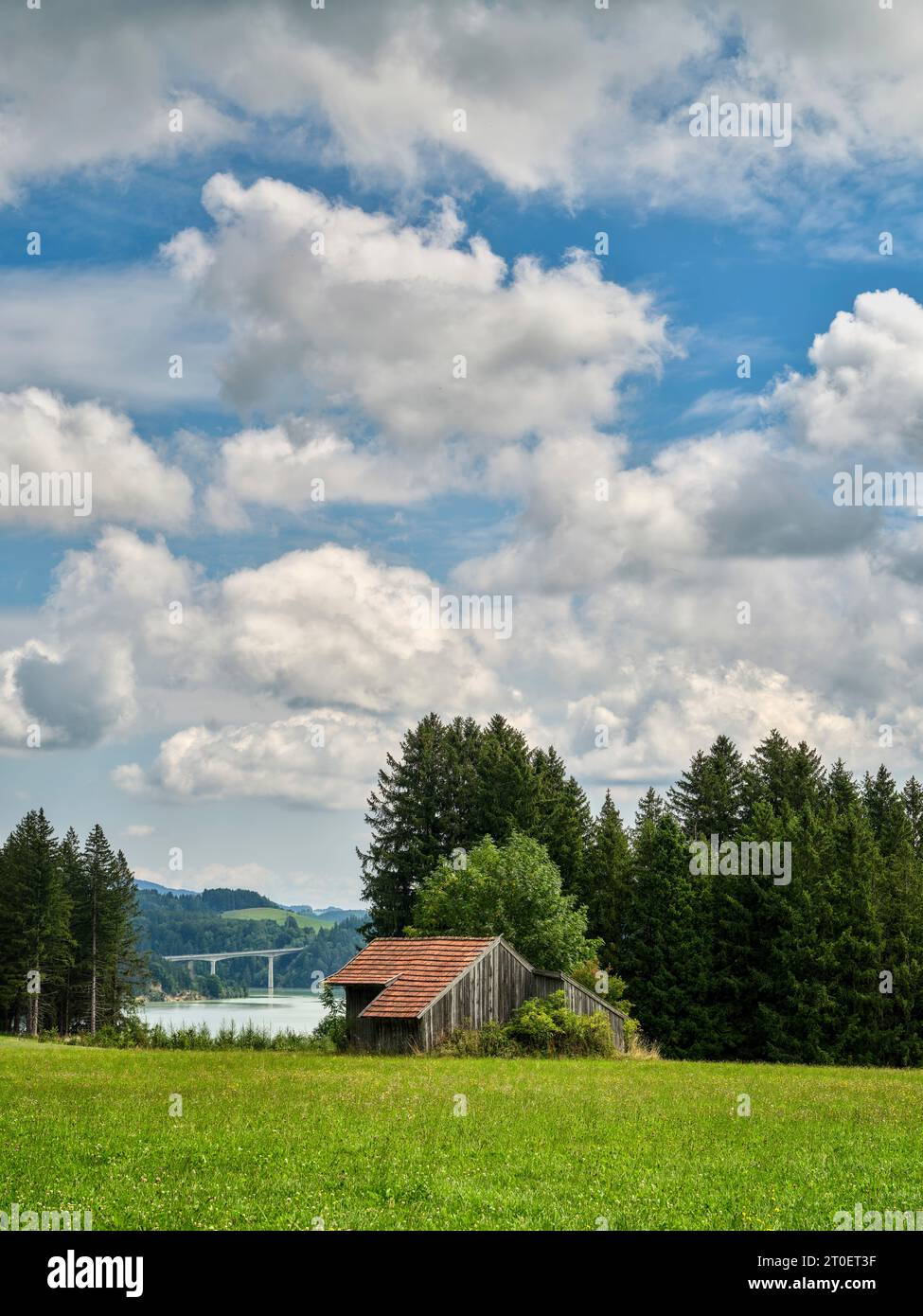 Nel paesaggio morenico sopra il bacino idrico di Schongau Lech, a sud di Schongau Foto Stock