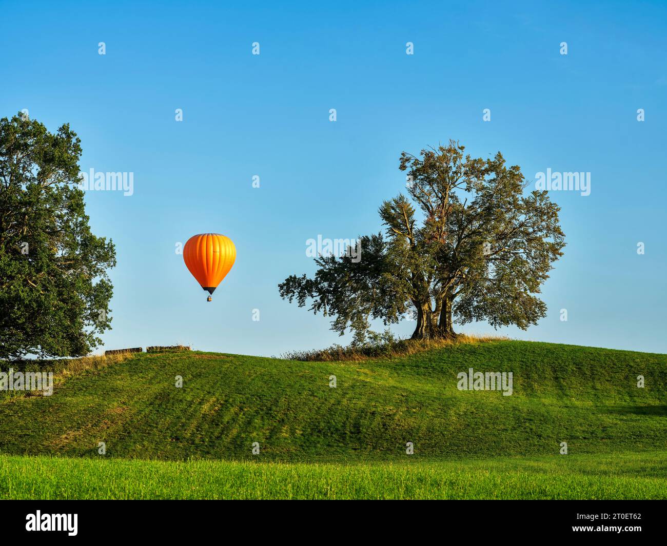 Paesaggio morenico tra il lago Ammersee e il lago Starnberg nella regione bavarese dei cinque laghi vicino a Landstetten Foto Stock