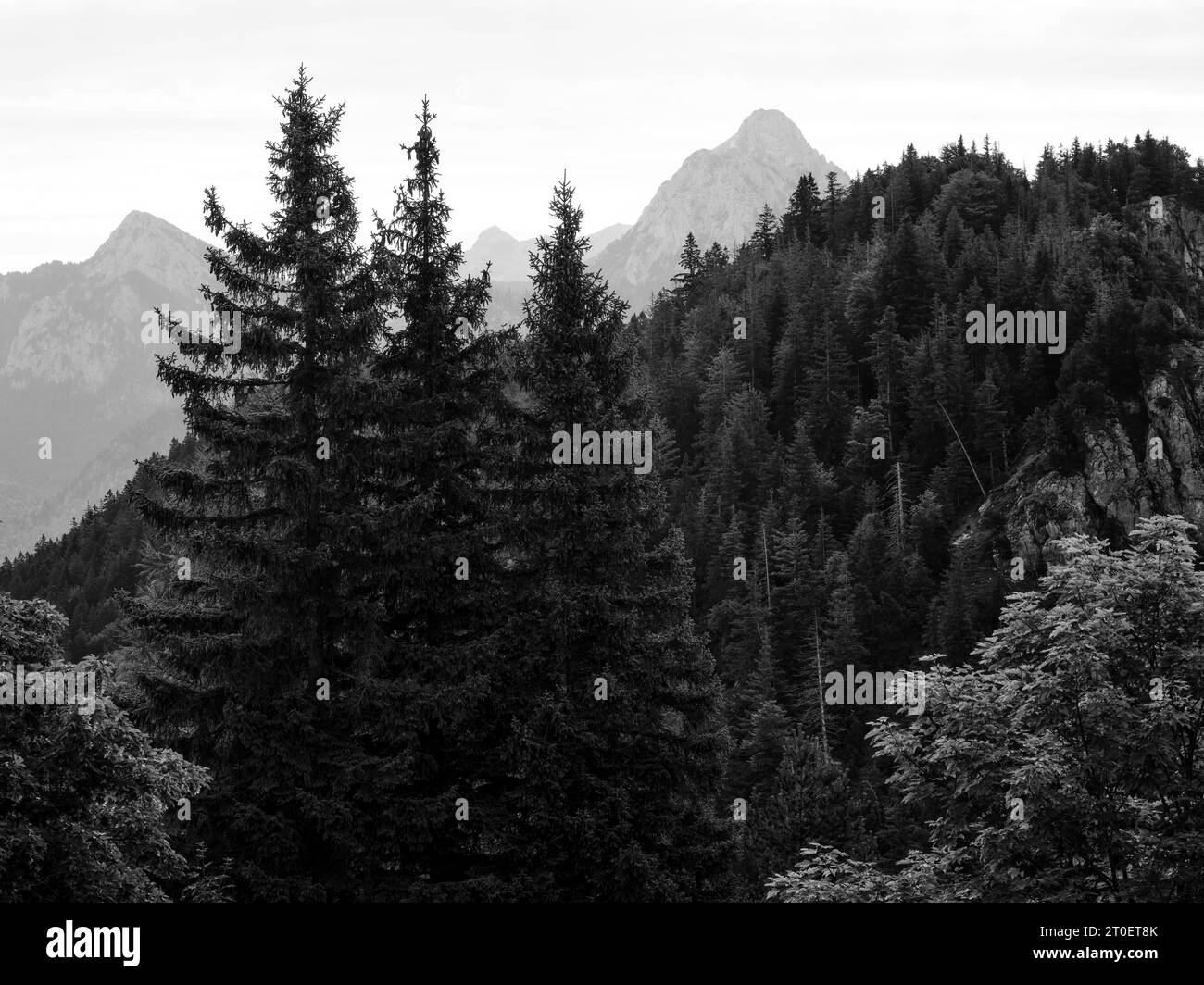 Vista dalla rovina del castello di Falkenstein nel Trioler Vilstal sopra Pfronten Foto Stock