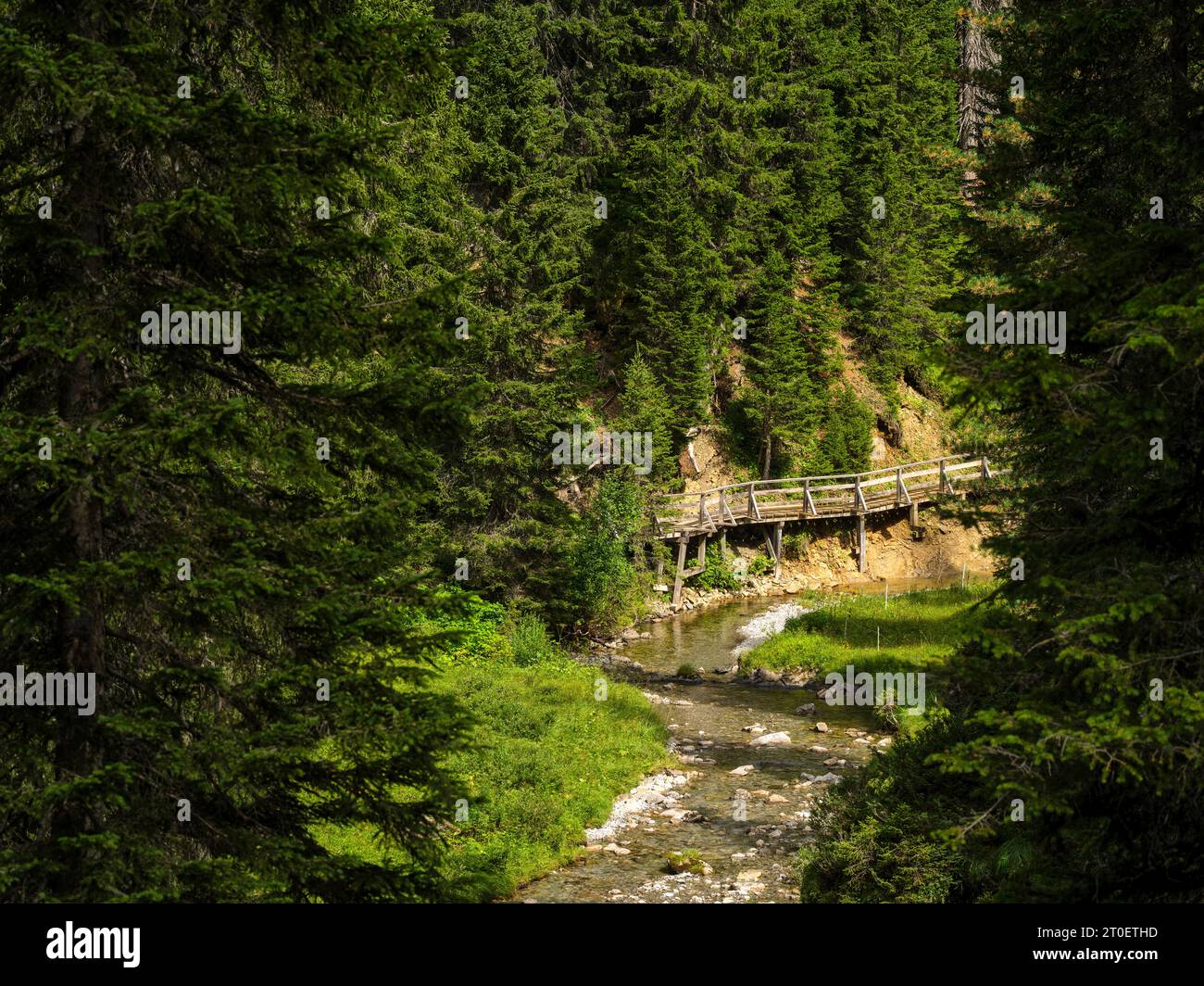 Sentiero escursionistico lungo il torrente Spullerbach sopra Lech Foto Stock