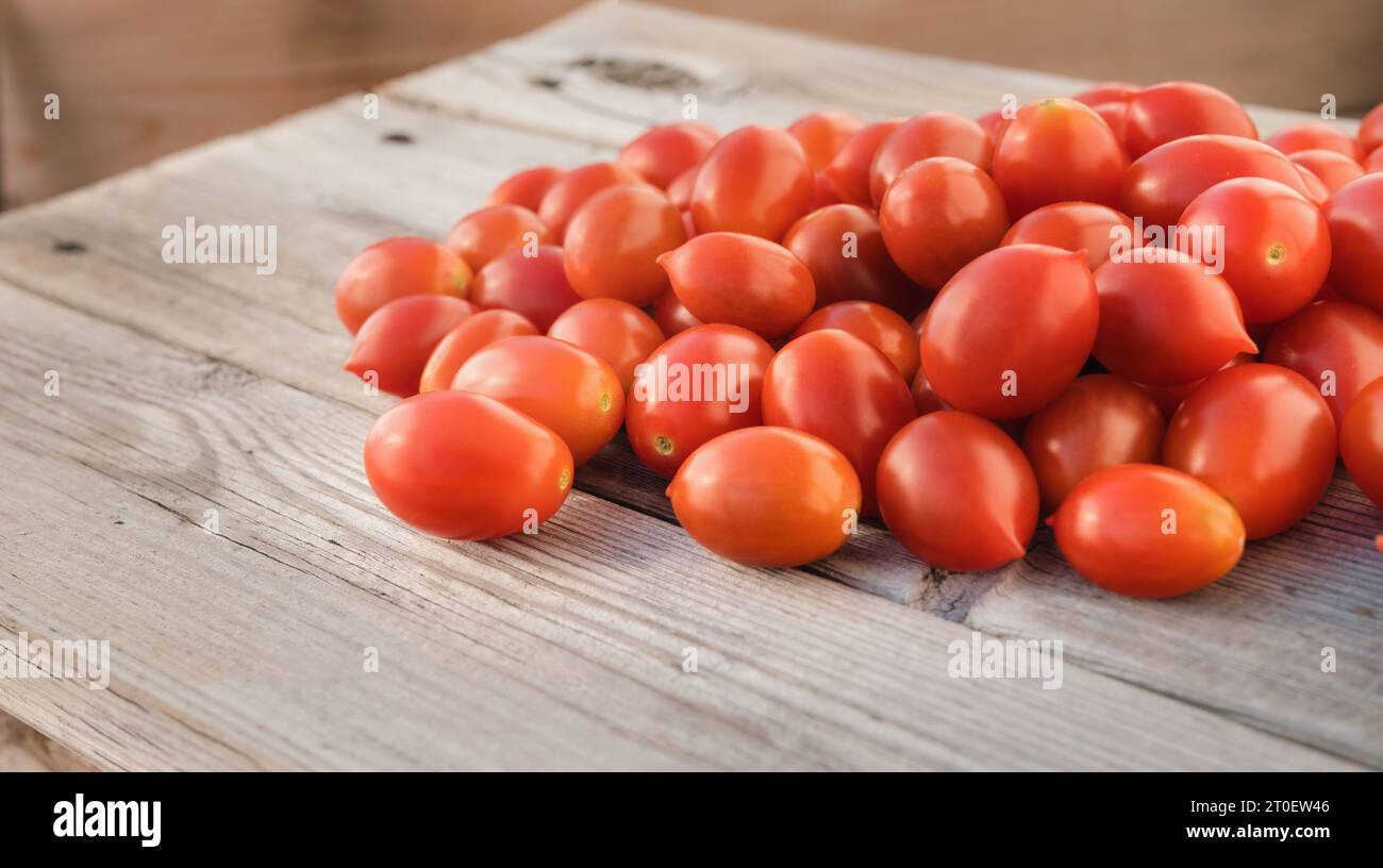 Pomodori ciliegini su fondo di legno. Vista prospettica dei pomodori rossi maturi appena raccolti su tavola di legno. Pila casuale di uva zuccherata t Foto Stock