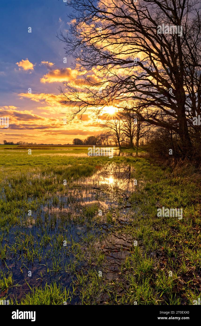 Atmosfera serale nella riserva naturale Sulzheimer Gipshügel, distretto di Schweinfurt, bassa Franconia, Baviera, Germania Foto Stock