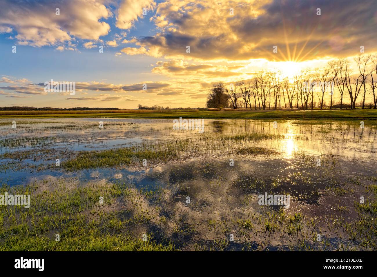 Atmosfera serale nella riserva naturale Sulzheimer Gipshügel, distretto di Schweinfurt, bassa Franconia, Baviera, Germania Foto Stock