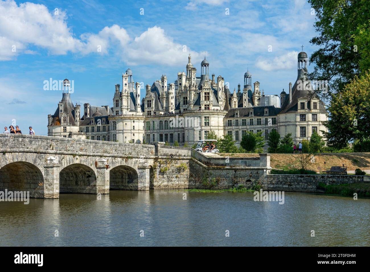 Il castello di Chambord è il più grande e magnifico dei castelli della Valle della Loira. Foto Stock