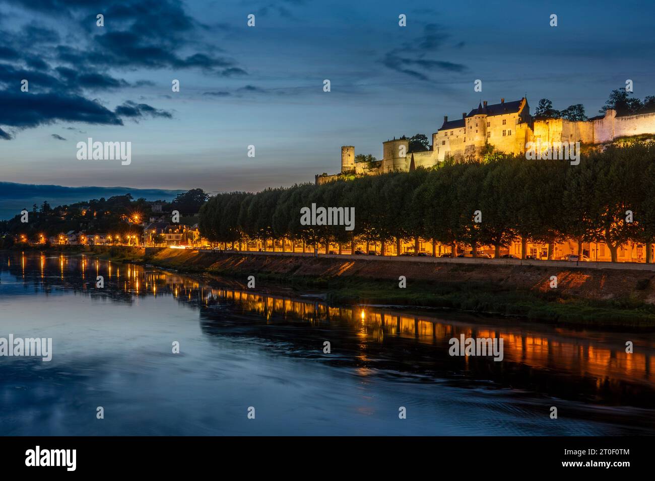 Il castello di Chinon, sebbene non sia un castello, è uno dei castelli della Loira. Le rovine del complesso del castello si trovano su una roccia sopra la città di Chinon e la Vienne, un affluente della Loira. Foto Stock