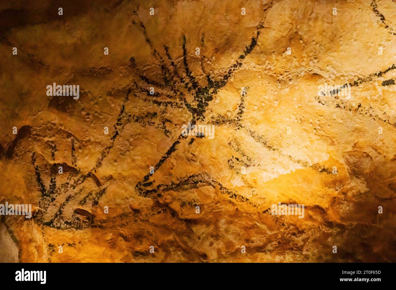 Cervi preistorici raffigurati nelle grotte di Lascaux Foto Stock