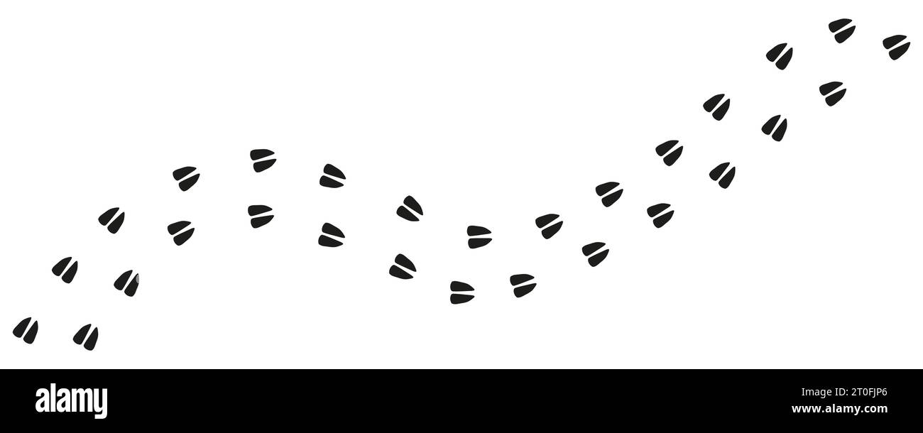 Impronte del sentiero di cavalli, mustang, pony, cervi, mucche, capra, pecora, alci, antilopi. Zoccoli per cavalli. Deer Tracks. Silhouette. Vettore isolato. Hippodrome ho Illustrazione Vettoriale