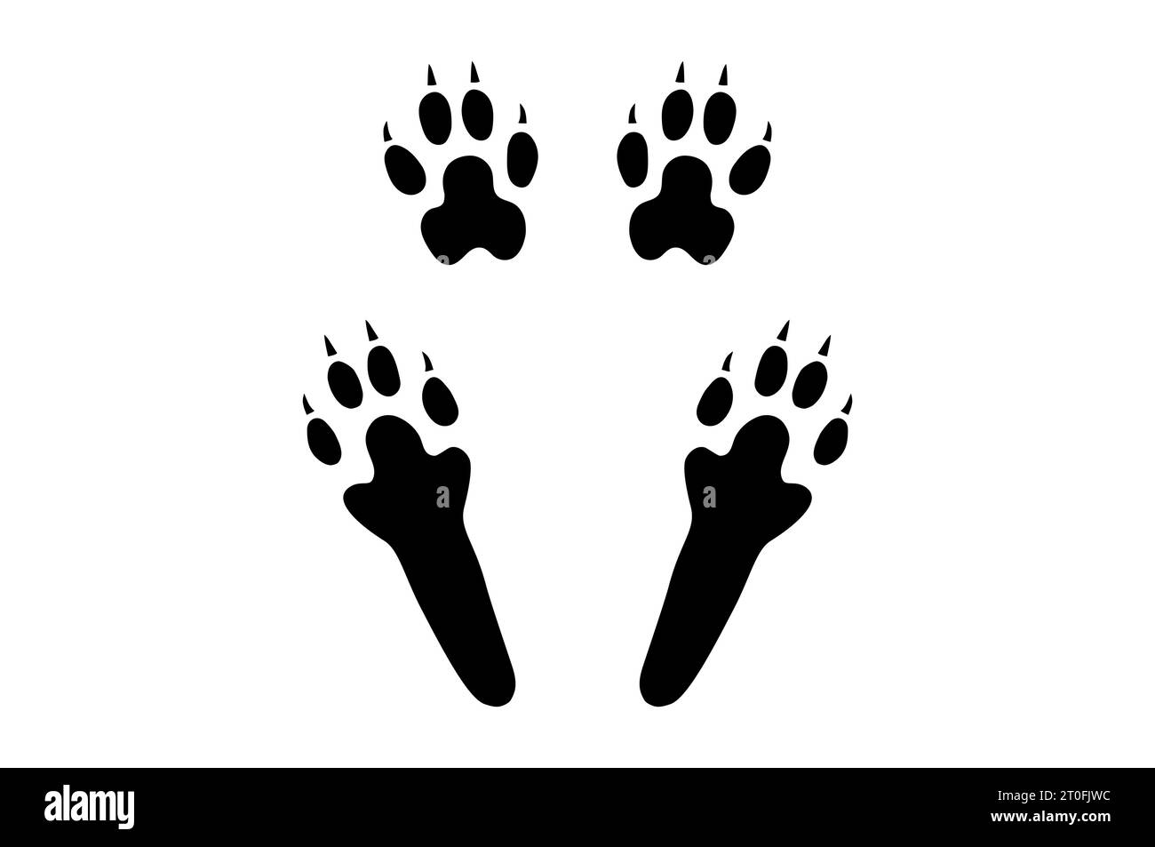 Impronta zampa coniglio o lepre. Silhouette di quattro zampe, posteriore e anteriore. Vettore nero isolato su bianco. Stampa Paw step di soffice coniglio, lepre o pika. IO Illustrazione Vettoriale