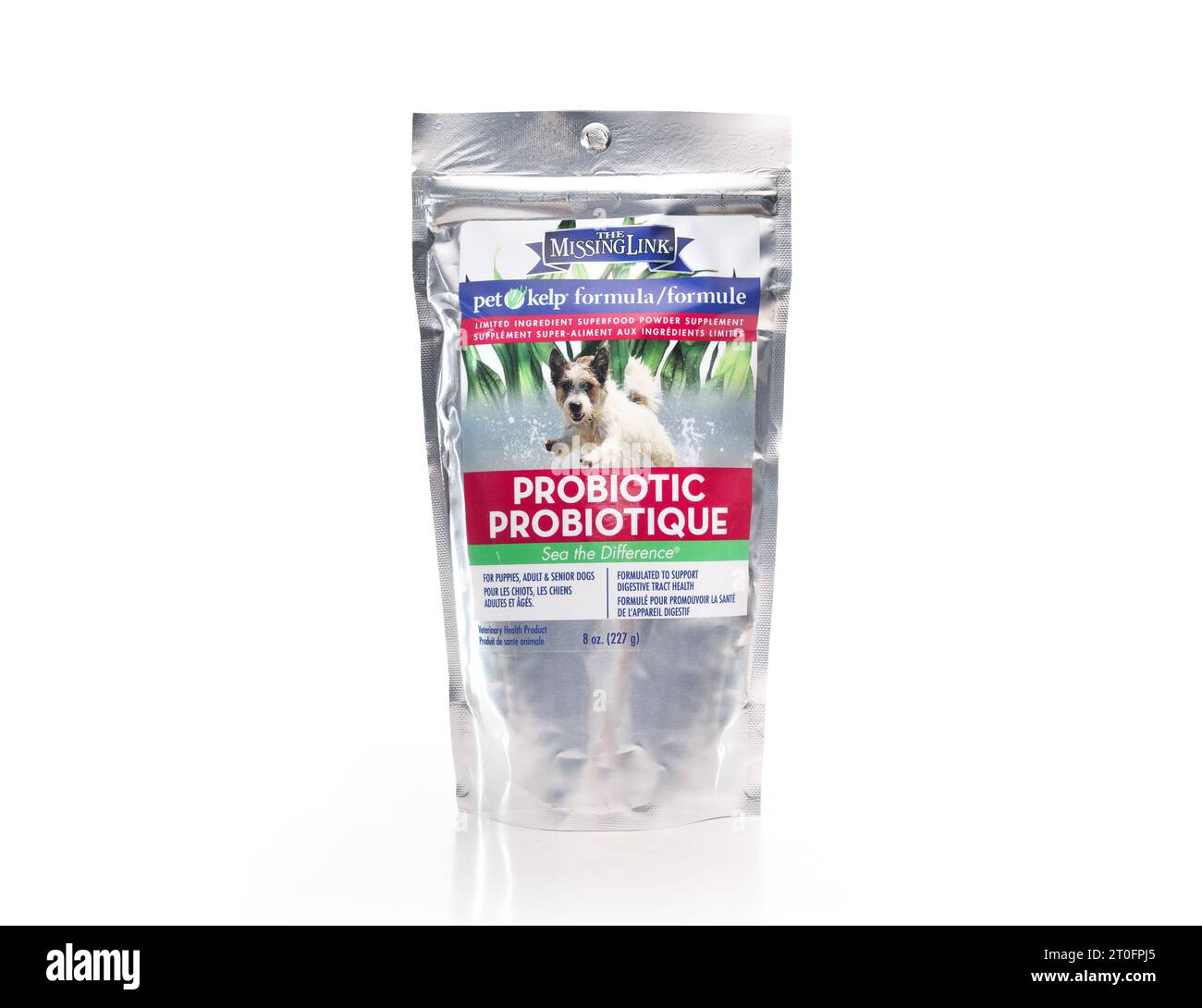 Formula probiotica per gatti e cani con problemi di apparato digerente, feci sciolte o diarrea. Integratore superalimentare biologico di The Missing Link. Bianco Foto Stock