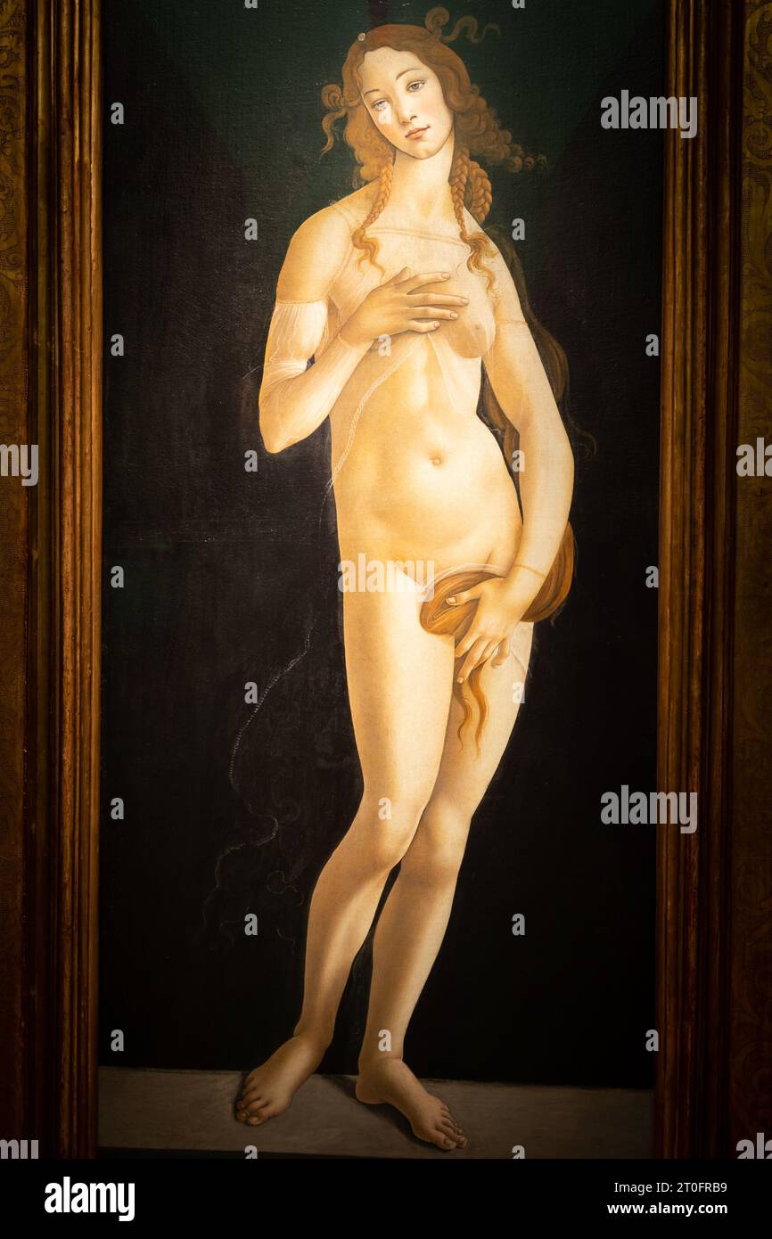 Torino, Italia - Aprile 2023: La pittura di Venere di Sandro Botticelli, olio su tela, 1490 Foto Stock