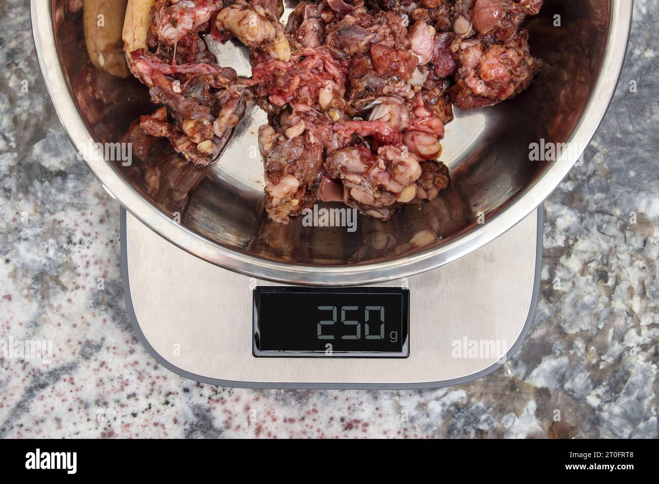 Carne macinata cruda su scala alimentare in cucina. Vista dall'alto. Porzione di misurazione per cani di grossa taglia su dieta o barba cruda. Carne macinata grossolana di manzo con muscolo, bon Foto Stock