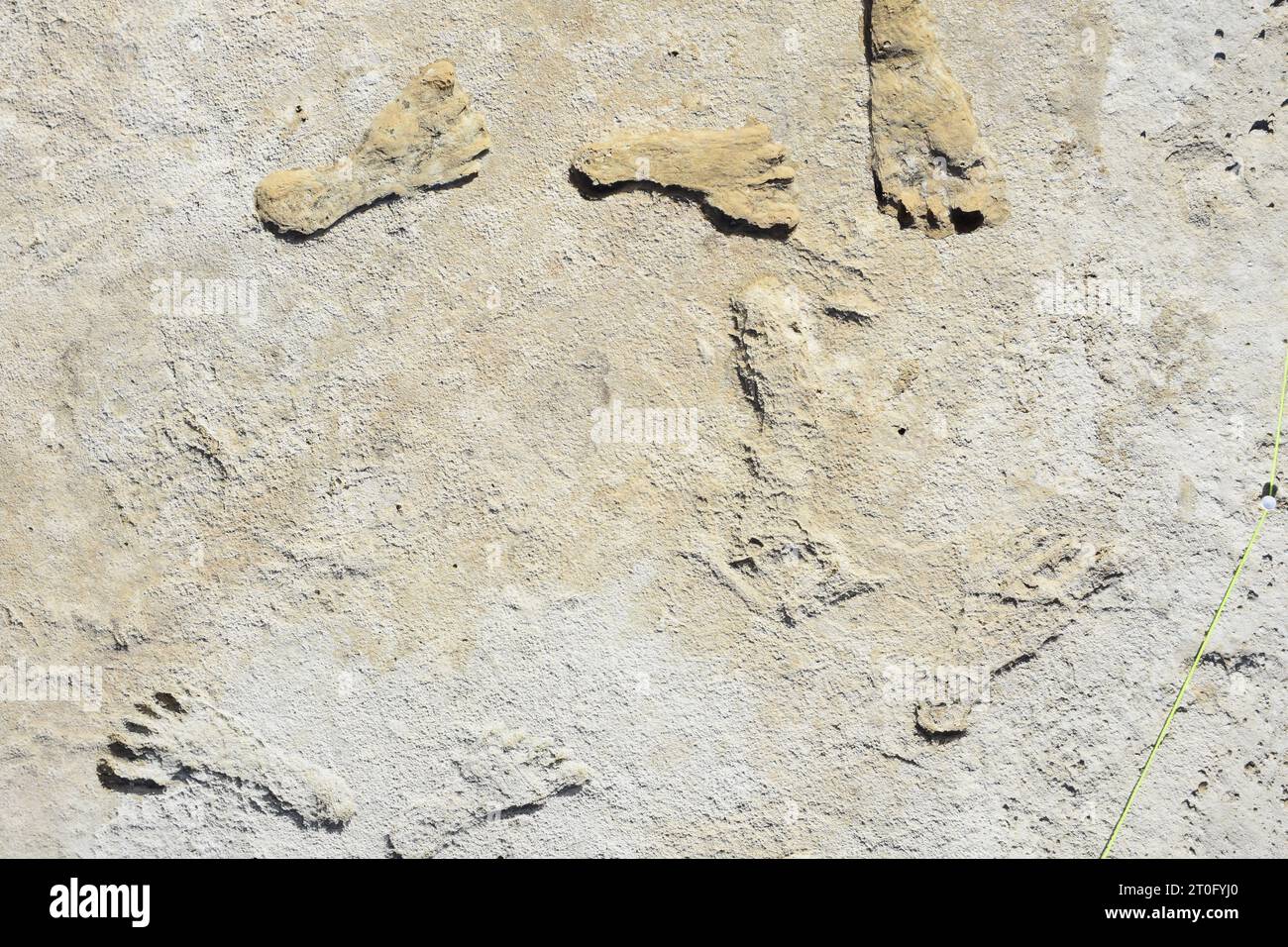 White Sands NP, Stati Uniti d'America. 30 gennaio 2020. Impronte umane fossilizzate dell'era glaciale ambientate nel fango di gesso che si è indurito alla roccia stimate a 23.000-21.000 anni fa, il 5 ottobre 2023 nel White Sands National Park, New Mexico, USA. L'area intorno all'antico letto del lago Otero è la più antica testimonianza diretta della presenza umana nelle Americhe. Crediti: National Park Service/NPS/Alamy Live News Foto Stock