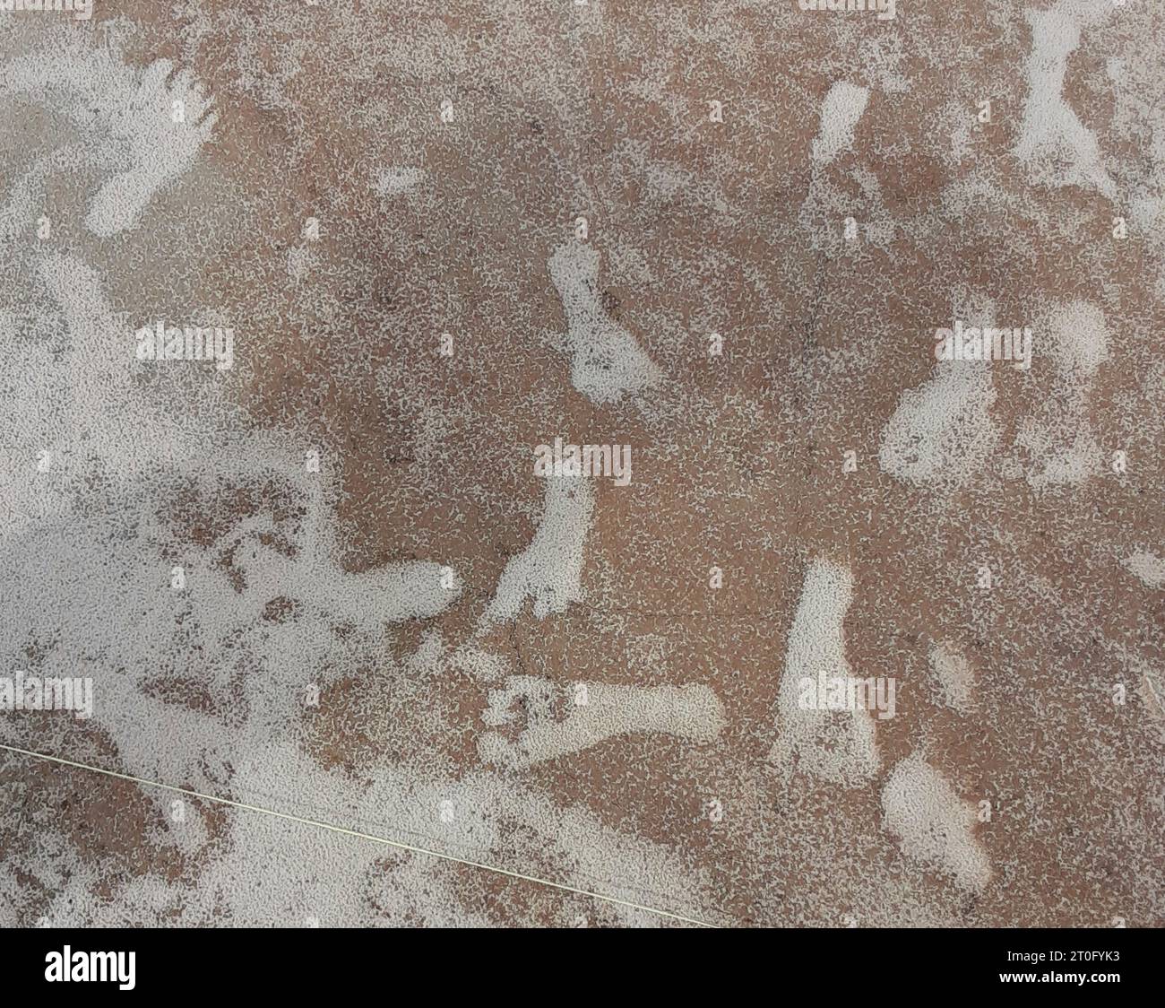 White Sands NP, Stati Uniti d'America. 12 marzo 2020. Impronte umane fossilizzate dell'era glaciale ambientate nel fango di gesso che si è indurito alla roccia stimate a 23.000-21.000 anni fa, il 5 ottobre 2023 nel White Sands National Park, New Mexico, USA. L'area intorno all'antico letto del lago Otero è la più antica testimonianza diretta della presenza umana nelle Americhe. Crediti: National Park Service/NPS/Alamy Live News Foto Stock