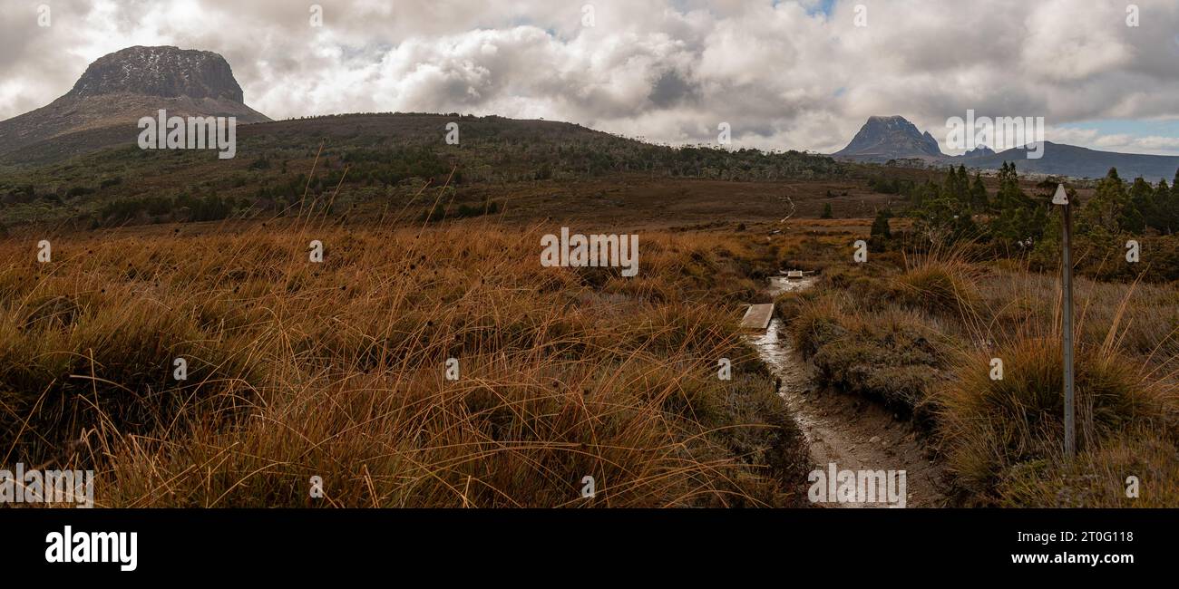 Paesaggio di Barns Bluff e Cradle Mountain sopra Button Grass Plains Foto Stock