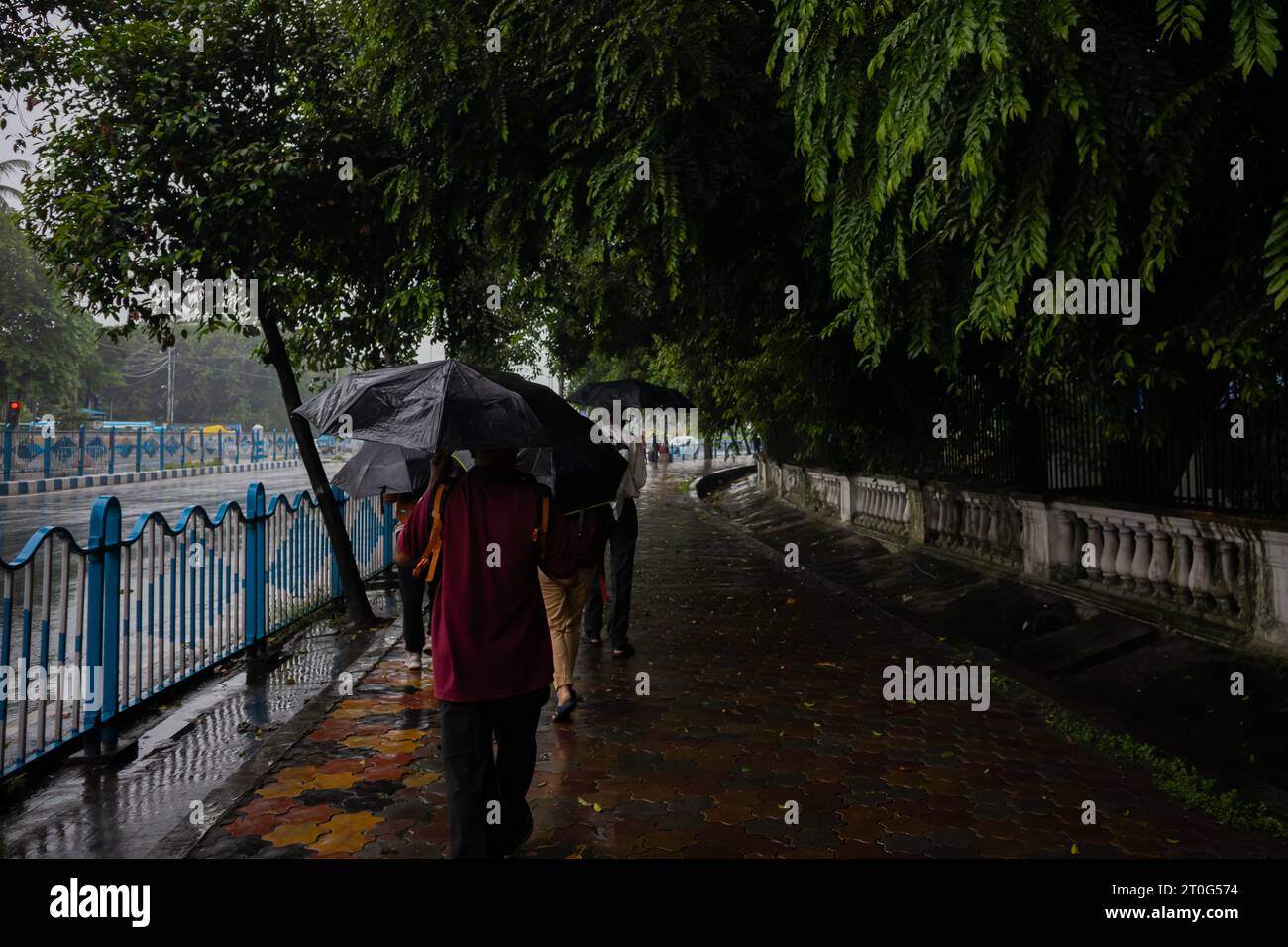 persone che camminano con l'ombrello su un sentiero piovoso e durante la stagione dei monsoni nelle strade di calcutta in india. Foto Stock