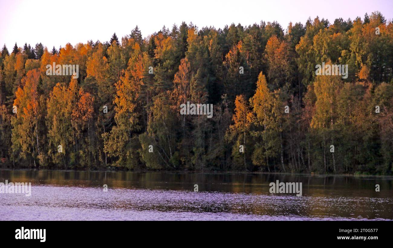 Colori autunnali/colori autunnali. Vehmersalmi, Kuopio Finlandia, 2023-10-06 08:00 +03. Temp + 2 °C, vento W 2 m/s. Foto Stock