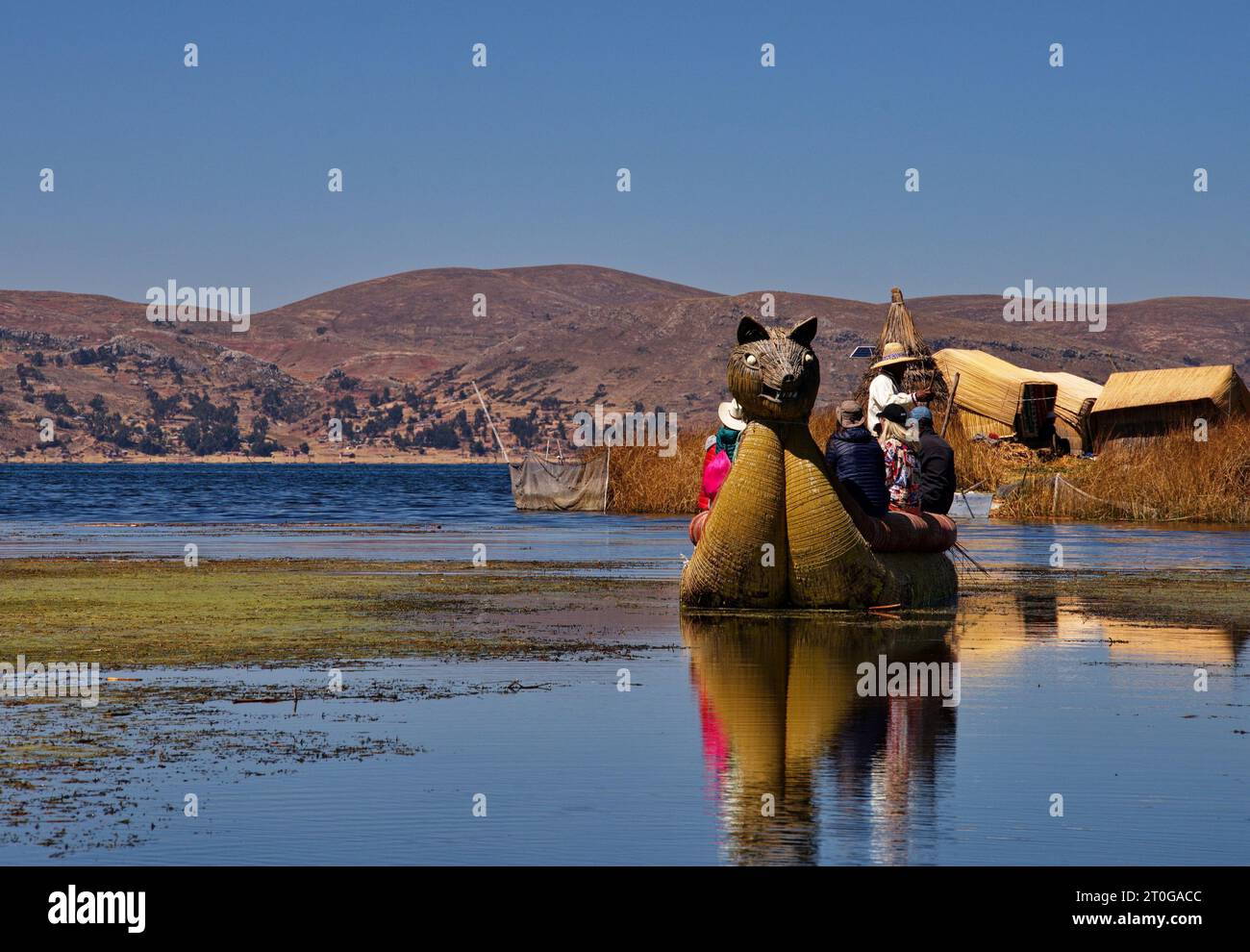Uomo Uros che trasporta turisti su una barca a canne vicino alla sua isola galleggiante sul lago Titicaca Foto Stock