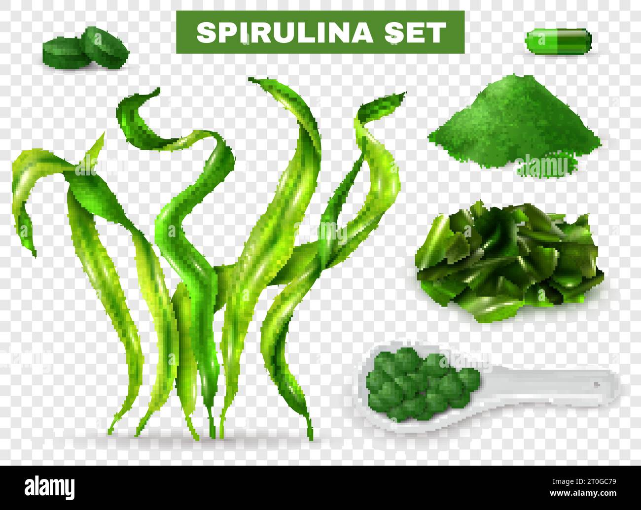 Spirulina Set realistico con capsule di integratori di alghe compresse polvere verde alghe secche tagliate illustrazione vettoriale di sfondo trasparente Illustrazione Vettoriale