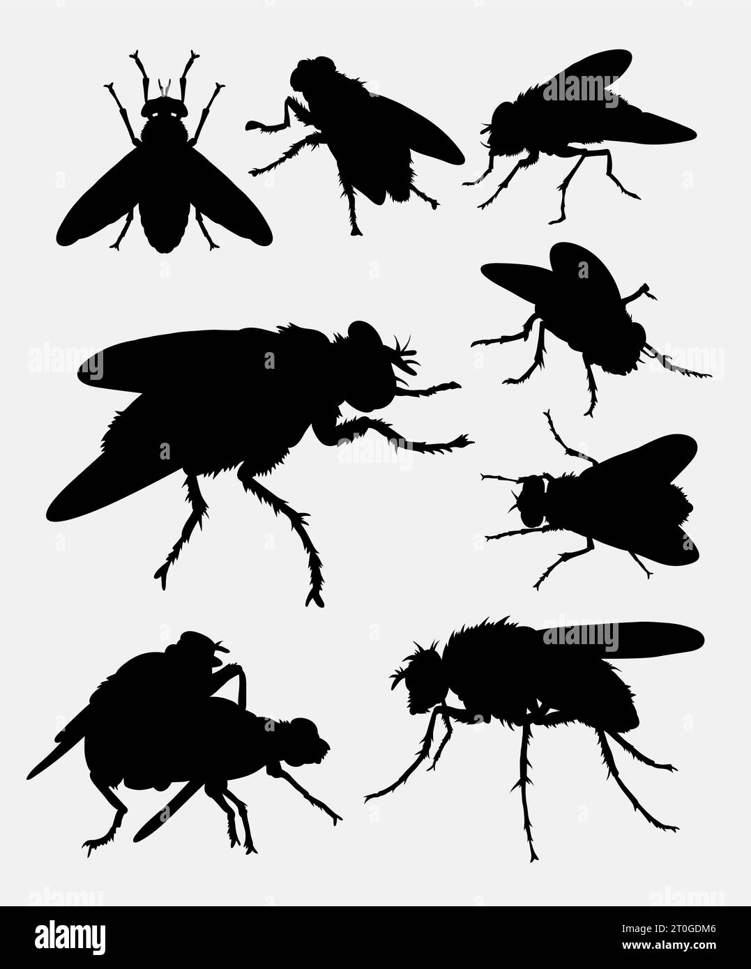 mosca la silhouette di insetti Illustrazione Vettoriale