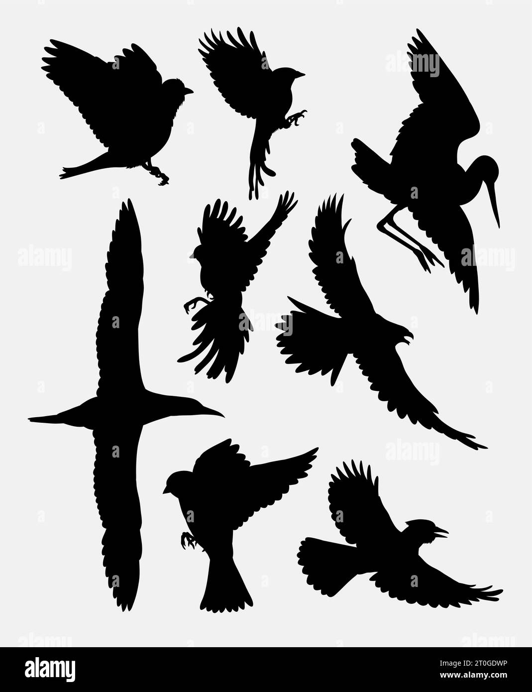 silhouette volante per uccelli Illustrazione Vettoriale