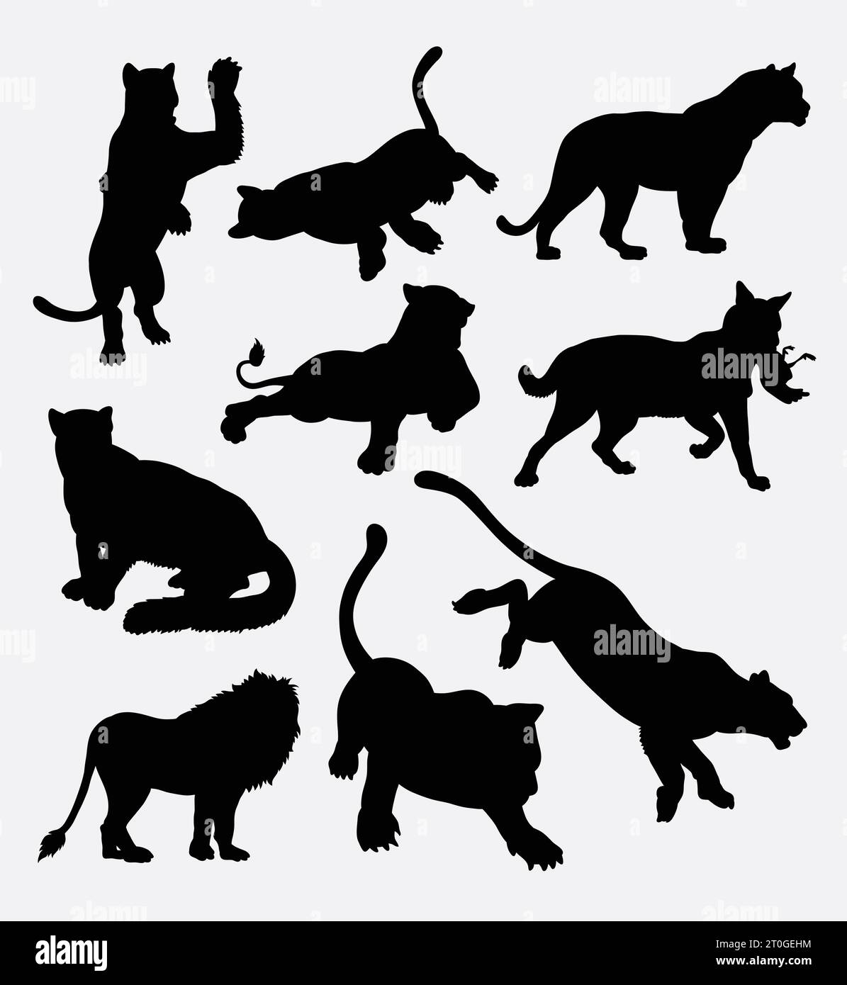silhouette di tigre e pantera Illustrazione Vettoriale