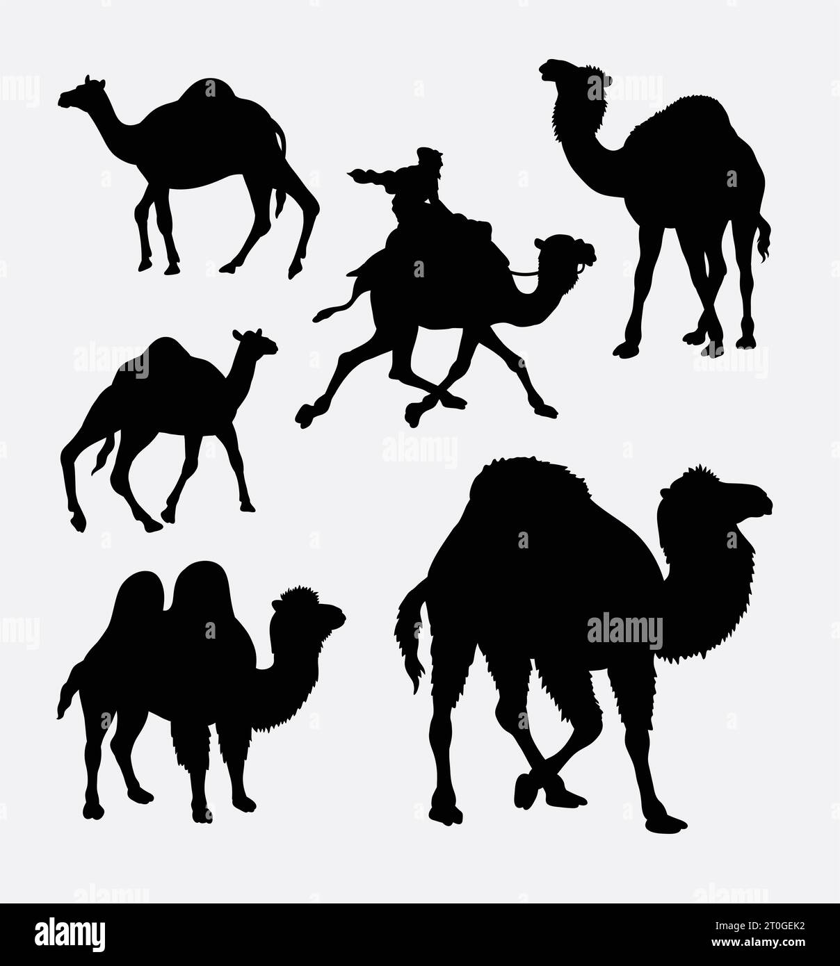 sagoma di animali selvatici a cammello Illustrazione Vettoriale