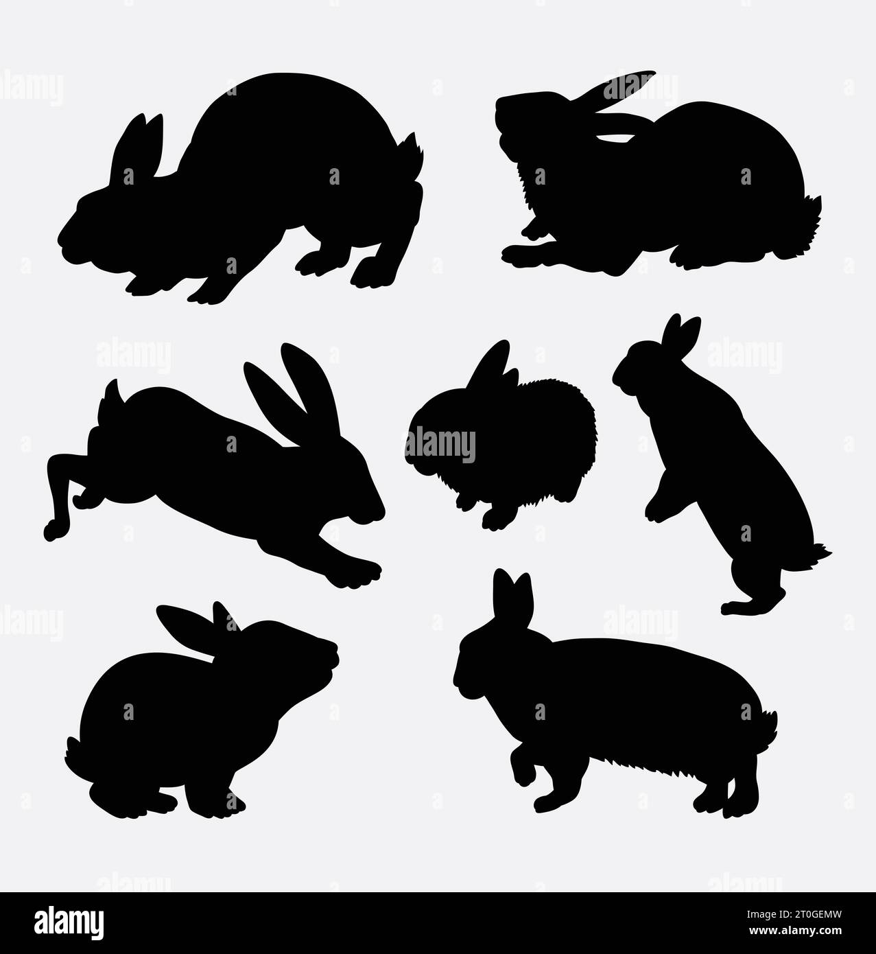 sagoma di coniglio e coniglio animale Illustrazione Vettoriale