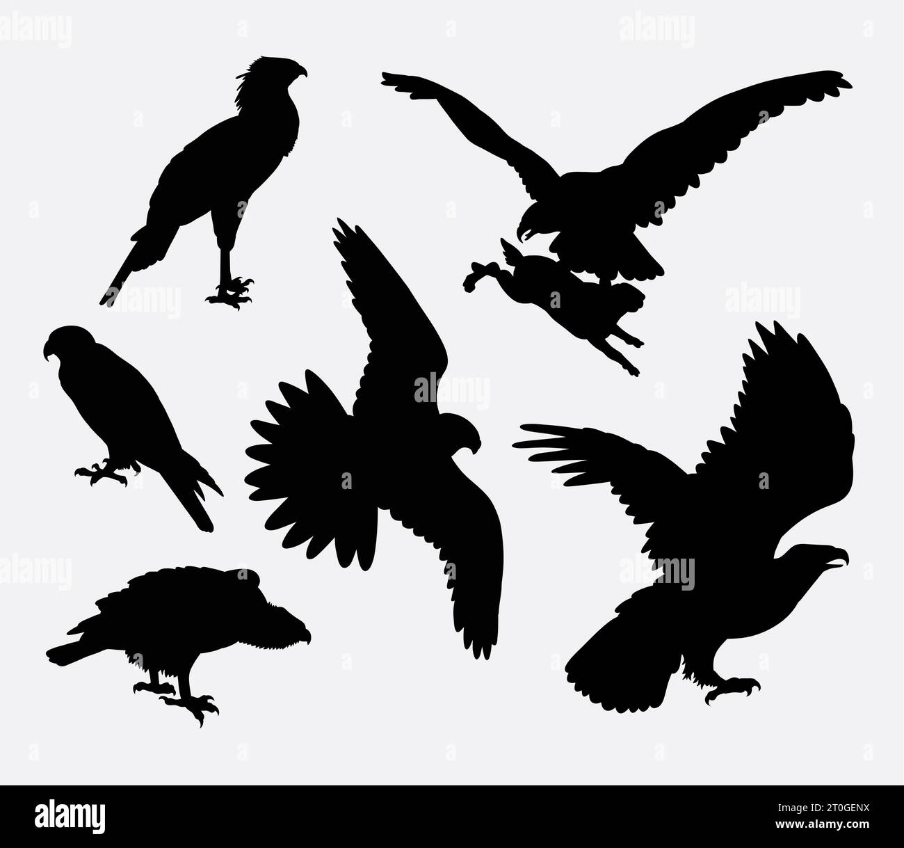 hawk, condor e aquila con la silhouette di un animale Illustrazione Vettoriale