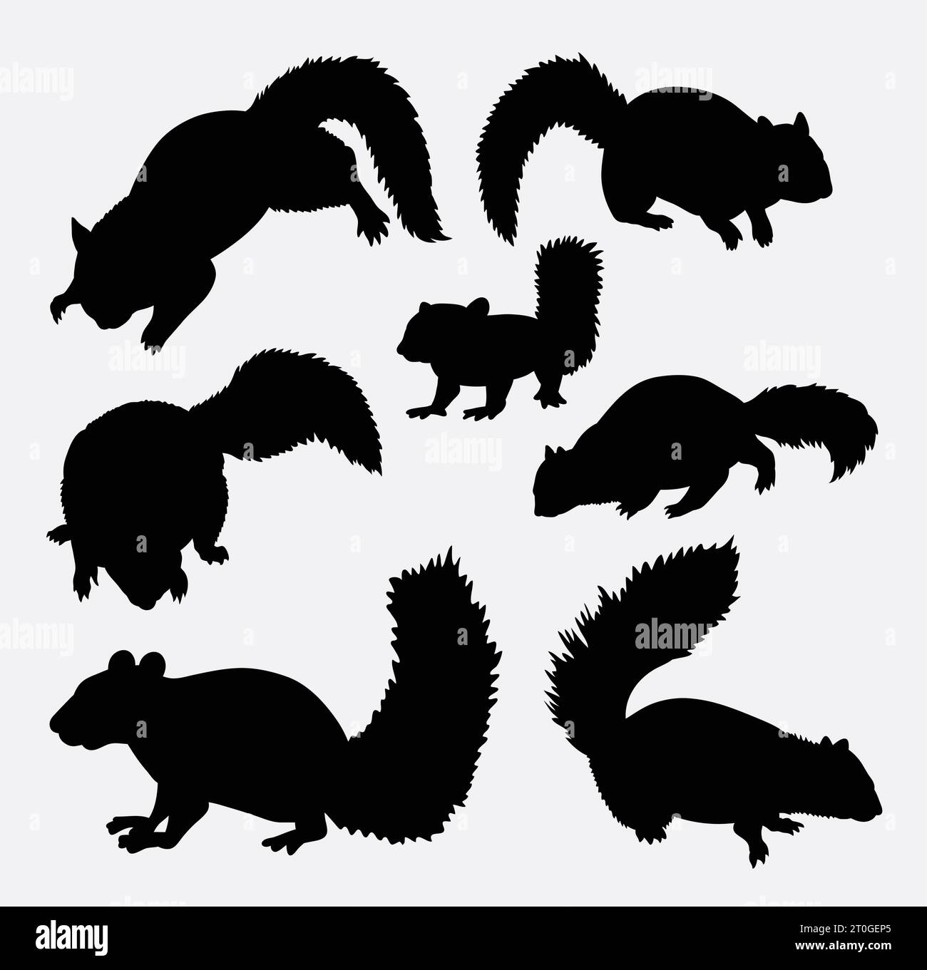 silhouette animale con roditore a scoiattolo Illustrazione Vettoriale