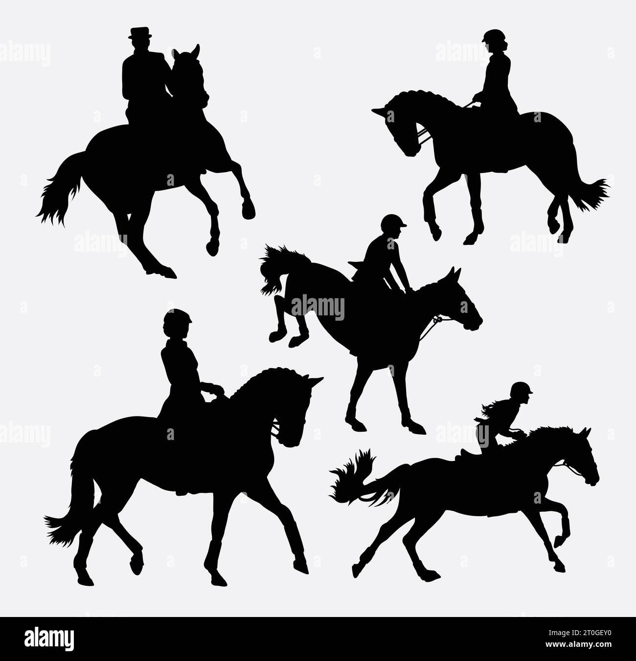 jockey guida una silhouette da allenamento sportiva a cavallo Illustrazione Vettoriale