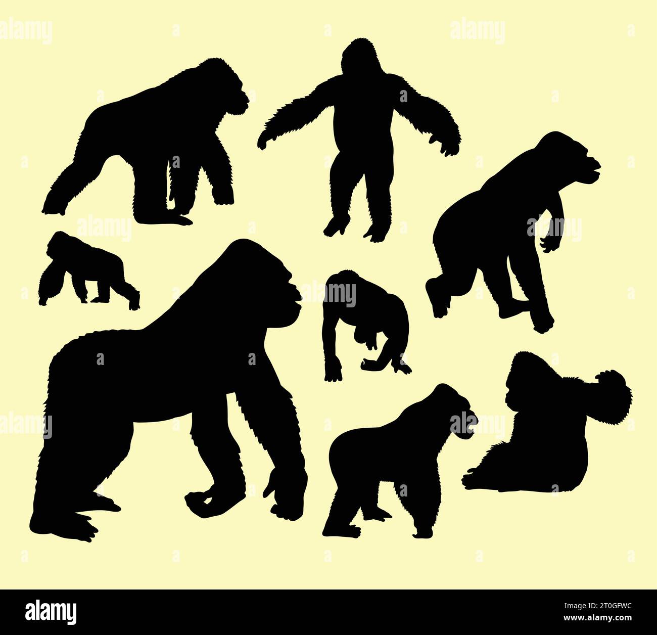 gorilla, scimmia, scimpanzé e scimmia silhouette Illustrazione Vettoriale