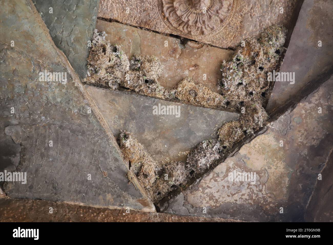 Nidi d'uccello sul tetto del tempio Foto Stock