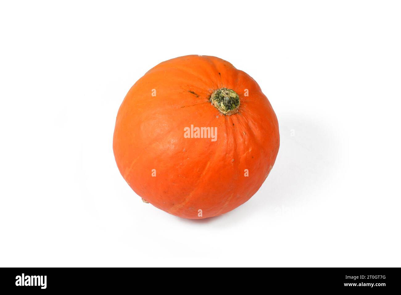 Piccola zucca allo zucchero d'arancia su sfondo bianco Foto Stock