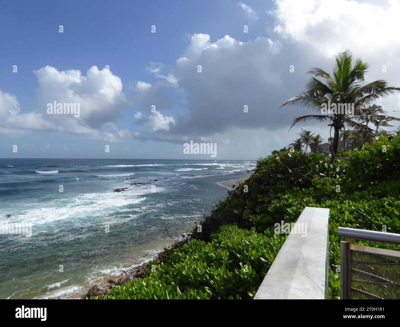 Viaggi e visite turistiche dei Caraibi, isole e spiagge, animali e piante. Foto Stock