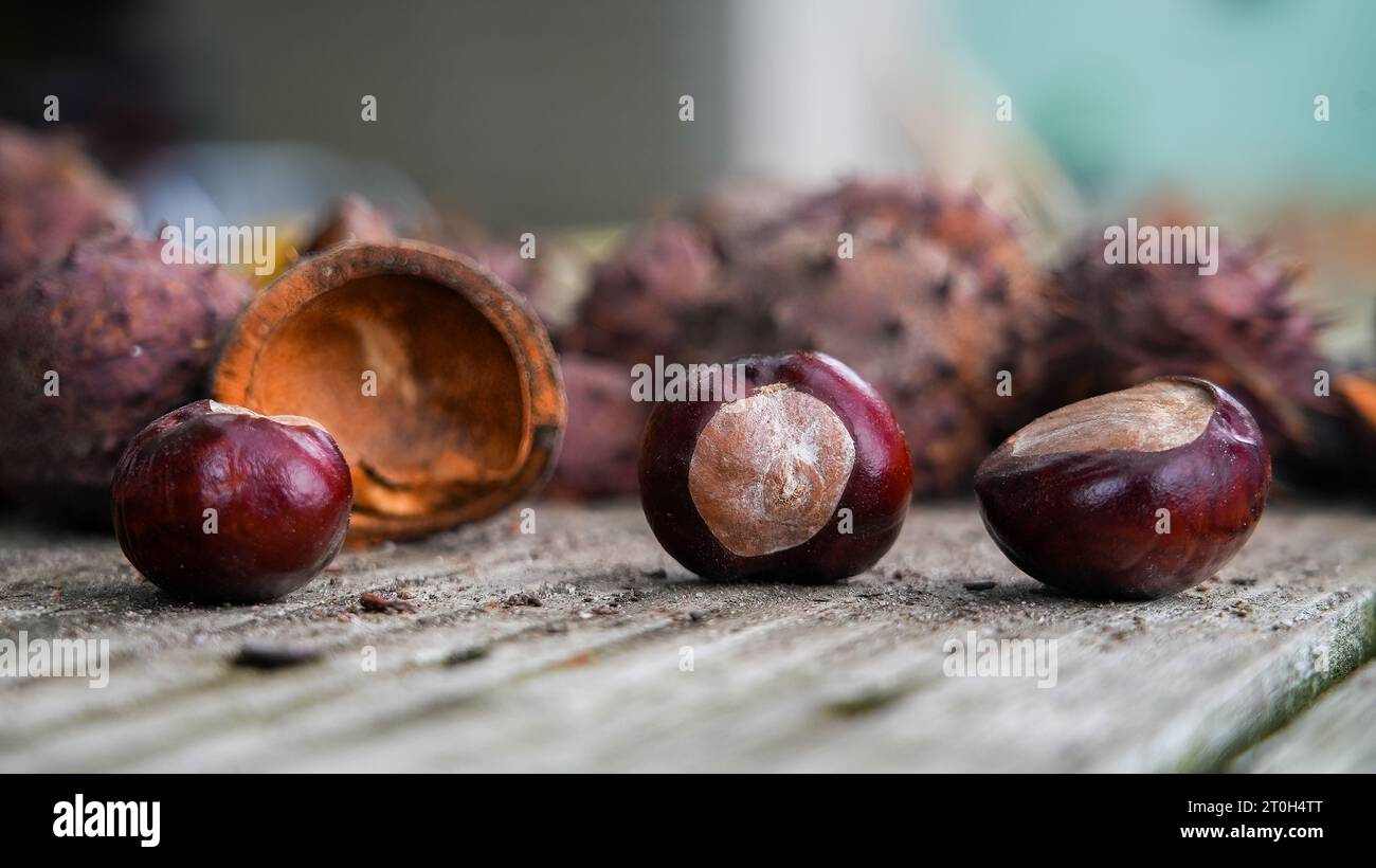 Castagne all'esterno su un tavolo di legno Foto Stock