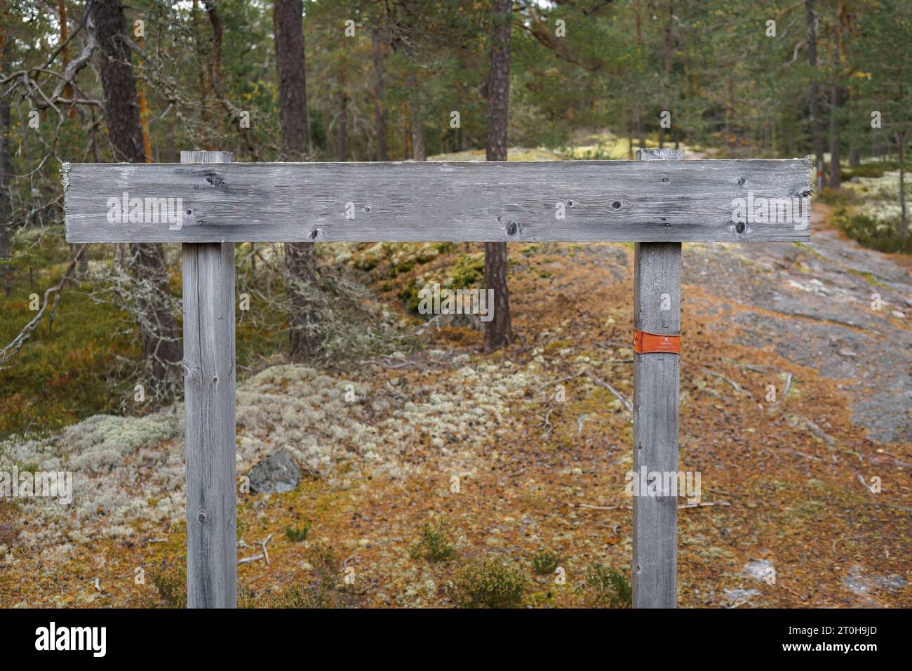 In autunno, nei boschi è presente un cartello di legno vuoto e consumato con rocce sullo sfondo Foto Stock