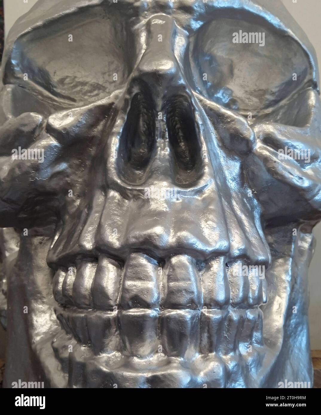 A Skull, Symbol of the Bones of A Human Head Skull, Head of A Human Credit: Imago/Alamy Live News Foto Stock