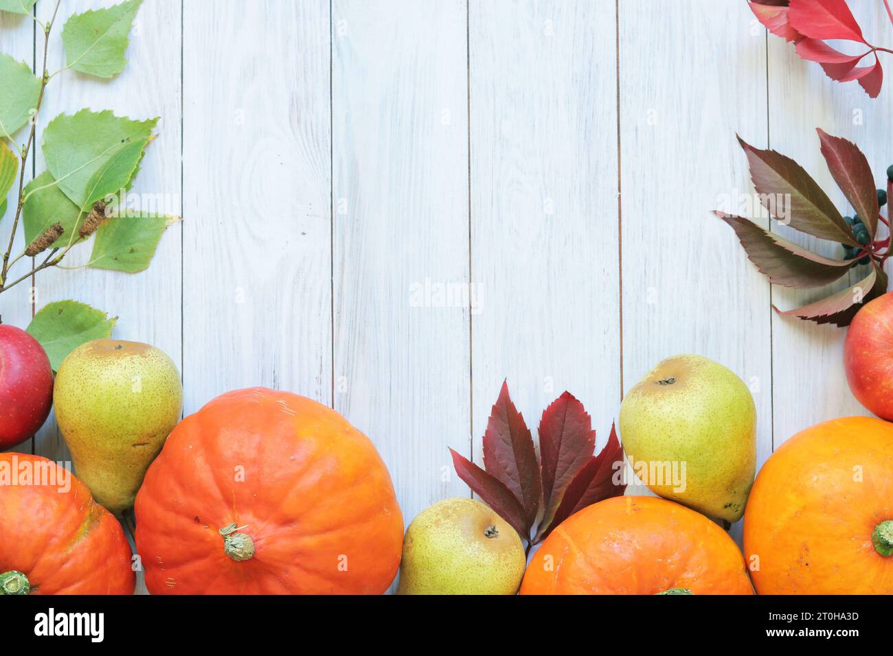 Sfondo autunnale con foglie, zucche mature, mele e pere. Concetto di vendemmia autunnale su sfondo in legno chiaro, vista dall'alto Foto Stock